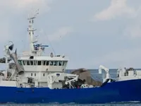 Navio de pesca de arrasto à venda