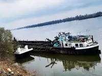 Draga à venda