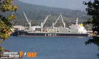Graneleiro à venda