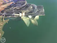 Navio de pesca de arrasto à venda