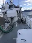 Purse seiner à venda