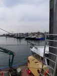 Navio de pesca de arrasto à venda
