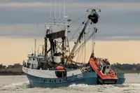Navio de pesca de cerco à venda