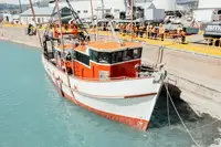 Trawler à venda