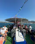 Submarino à venda
