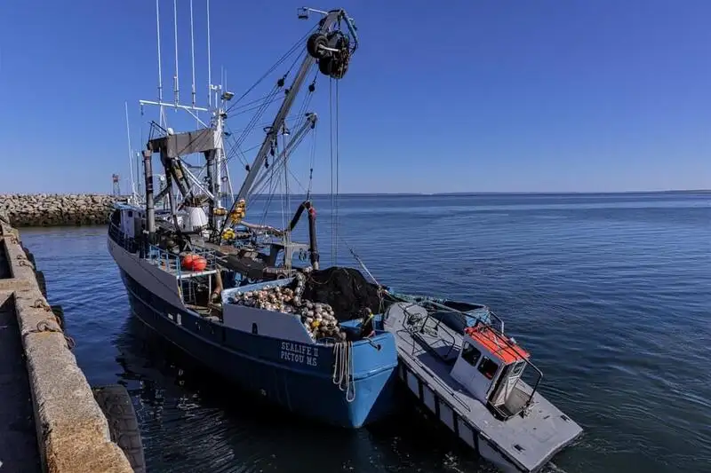 Navio de pesca de cerco à venda