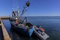 Navio de pesca de cerco à venda