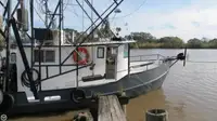 Navio de pesca de arrasto à venda
