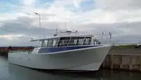 Barcos de trabalho à venda