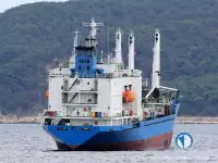 Navio frigorífico à venda