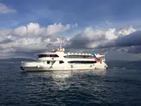 Navio de cruzeiro à venda