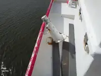 Navio de pesca de arrasto à venda