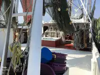 Navio de pesca de arrasto à venda