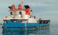 Balsa de desembarque, tanque à venda