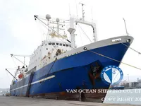 Navio de pesca de arrasto à venda