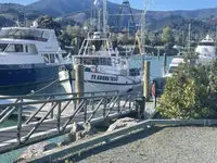 Navio de pesca de arrasto à venda