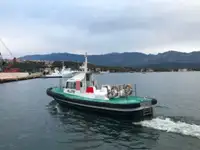 Barco piloto à venda