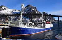 Purse seiner à venda
