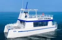 Catamarã à venda