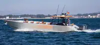 Bote inflável rígido à venda