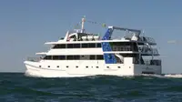 Catamarã à venda