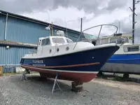 Barcos de trabalho à venda