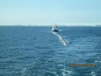 Navio graneleiro à venda