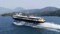 Navio Ro-Ro à venda