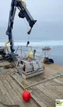 Barcos de trabalho à venda