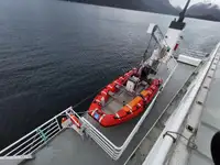 Navio Ro-Ro à venda