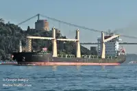 Navio frigorífico à venda