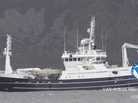 Navio de pesca de arrasto à venda