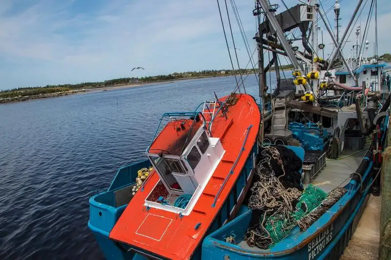 Navio de pesca de cerco à venda