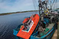 Navio de pesca de cerco à venda