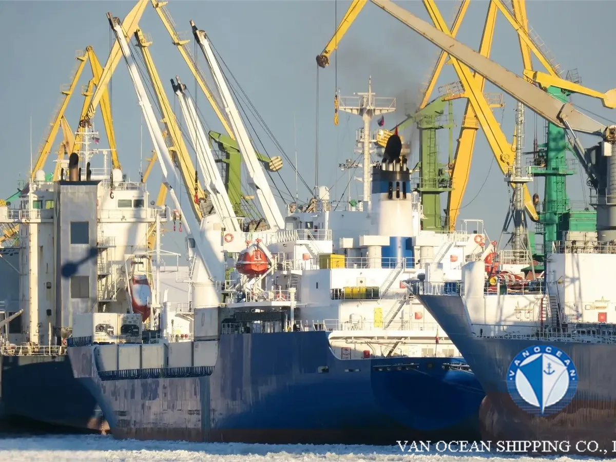 Navio frigorífico à venda