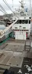 Navio de pesca de arrasto à venda