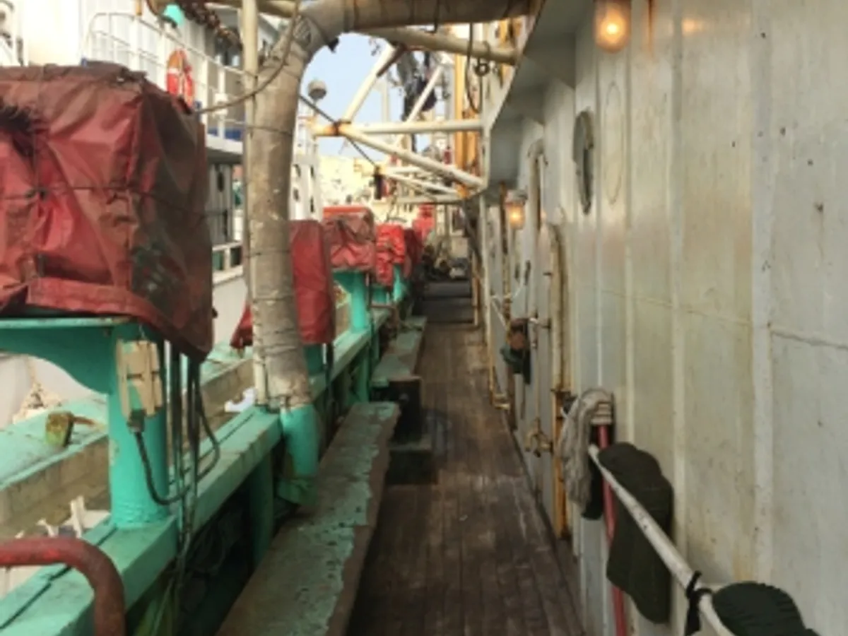 Navio de pesca de lula com anzol à venda