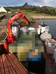 Barcos de trabalho à venda