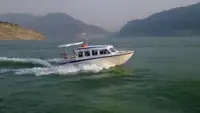 Navio de passageiros à venda