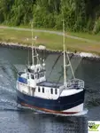 Barcos de trabalho à venda