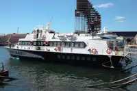 Hidrofólio à venda