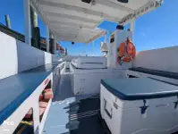 Navio de cruzeiro e ferry à venda