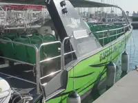 Navio de passageiros à venda