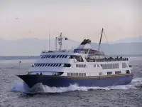 Navio de cruzeiro à venda
