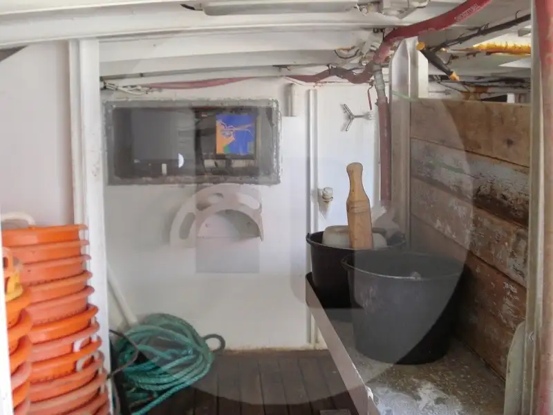 Navio transportador de peixes vivos à venda
