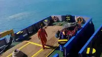 Barcos de trabalho à venda