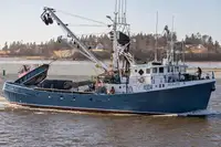 Navio de pesca de cerco à venda