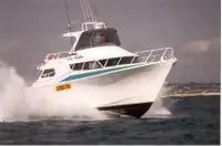 Barcos de trabalho à venda