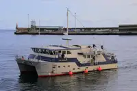 Navio de pesquisa à venda