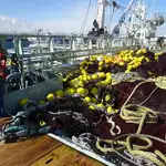 Navio de pesca de cerco à venda
